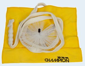 Photo of Champion Tenor Saxophone