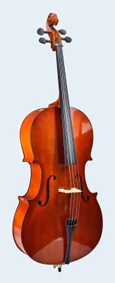 Photo of Flame Lily Cello