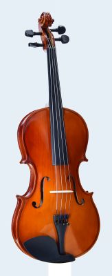 Photo of Flame Lily Viola