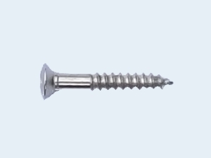 Photo of Tremolo Bridge Screw