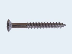 Photo of Neck Plate Screw