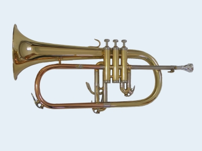 Photo of Talent Bb Flugelhorn